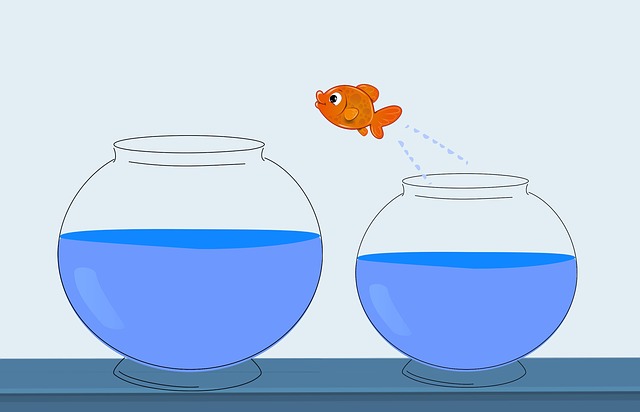 Comparison of Limited Liability Partnership and Private Limited Company